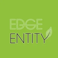 Edge Entity