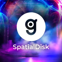 Spatial Disk
